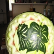 Motlci